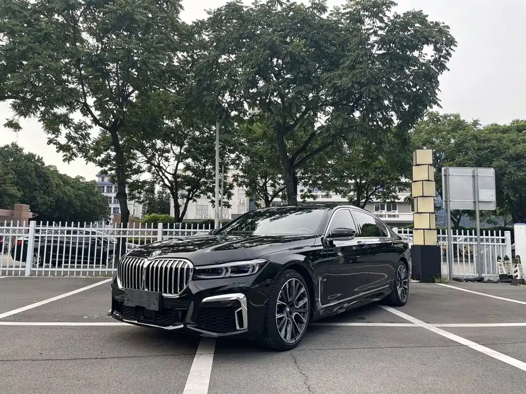 BMW 7 Series 7 2019 750Li xDrive V8 M Sport
