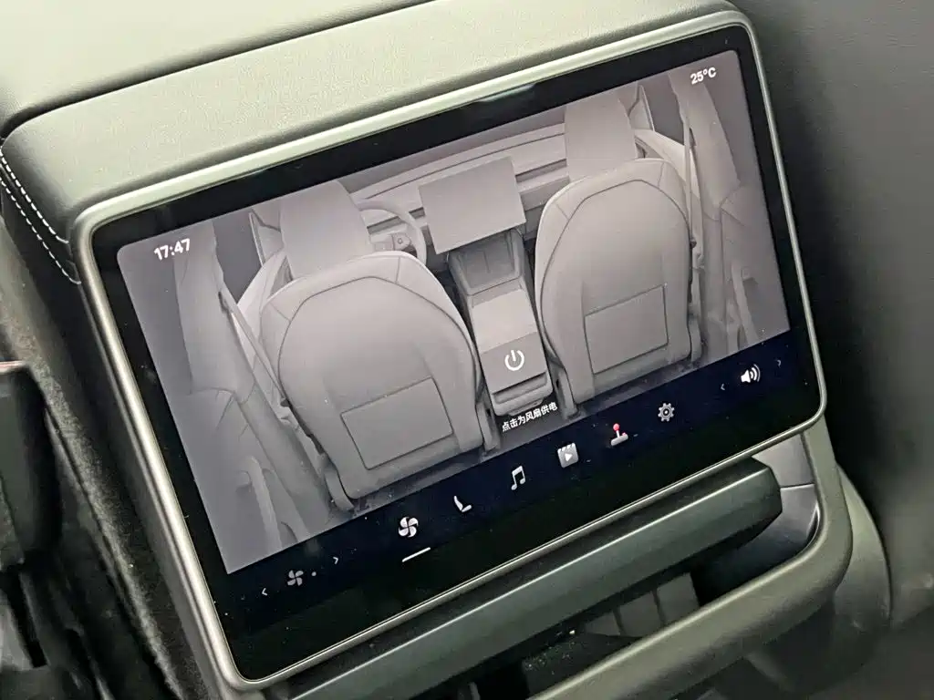 Tesla Model Y — миниатюра 19
