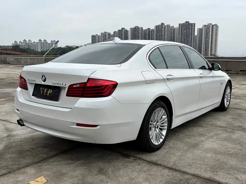 BMW 5 Series 5 2014 525Li Lead
