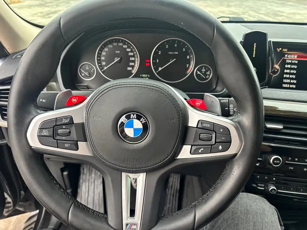 BMW X5 (Import) — миниатюра 5