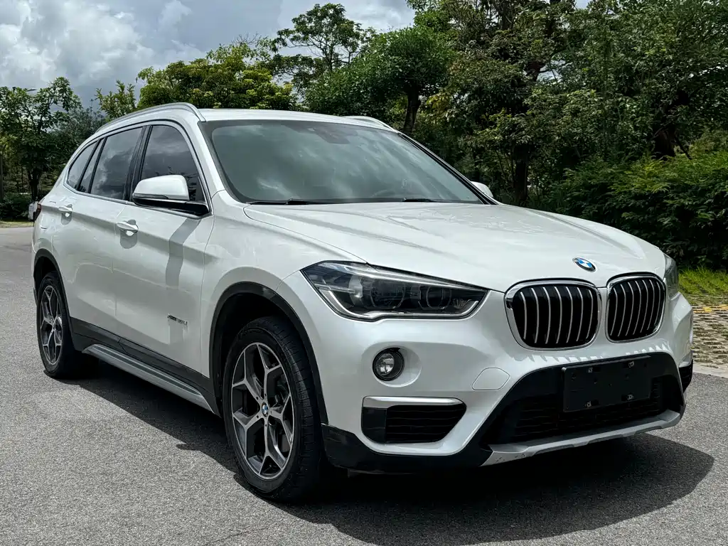 BMW X1 2018 xDrive20Li Premium