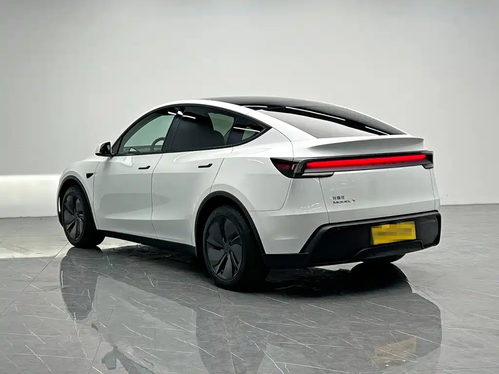 Tesla Model Y — миниатюра 4