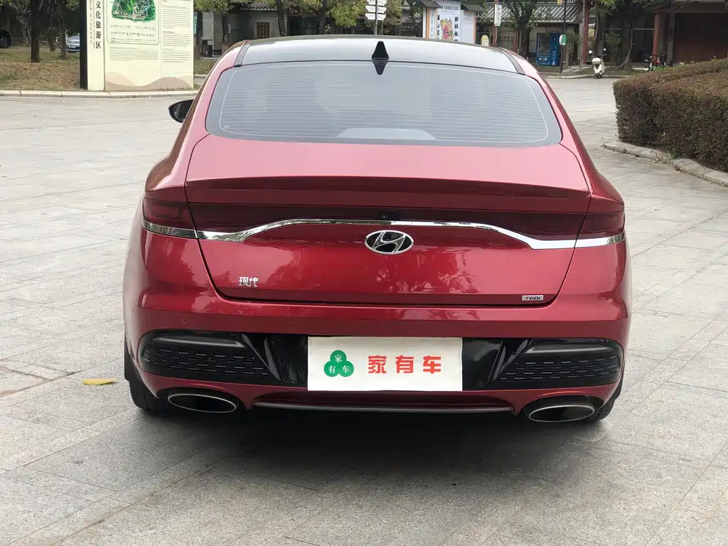 Hyundai Fista - фото 5