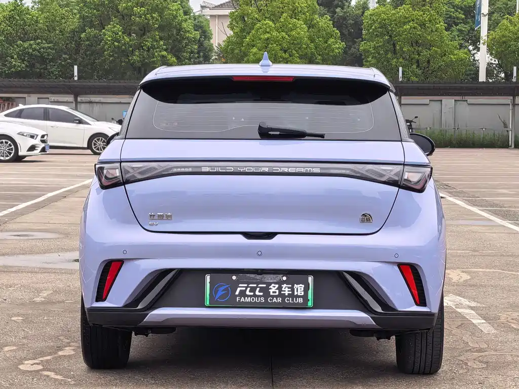 BYD Dolphin — миниатюра 5