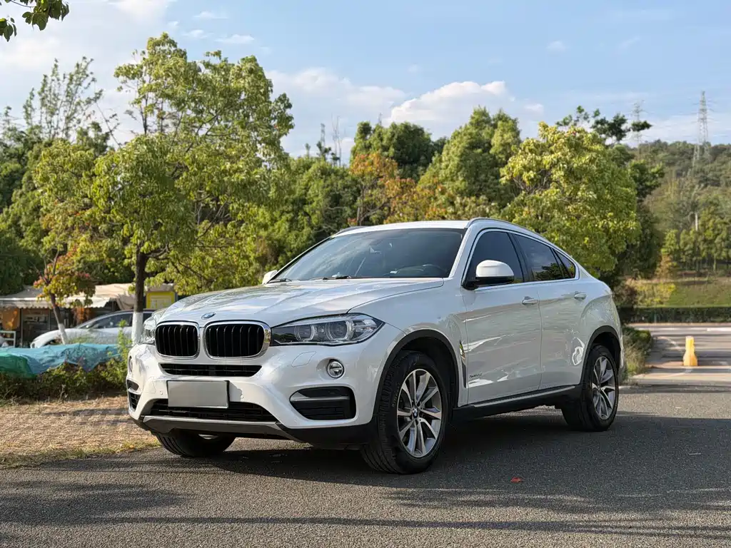 BMW X6 2017