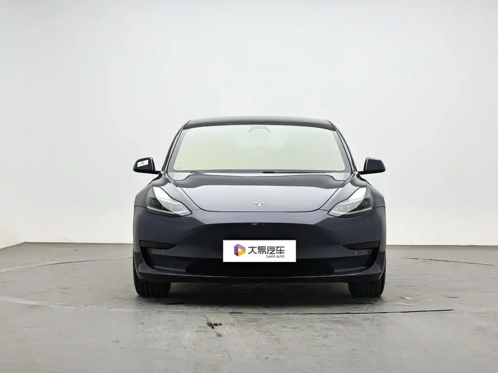 Tesla Model 3 — миниатюра 2