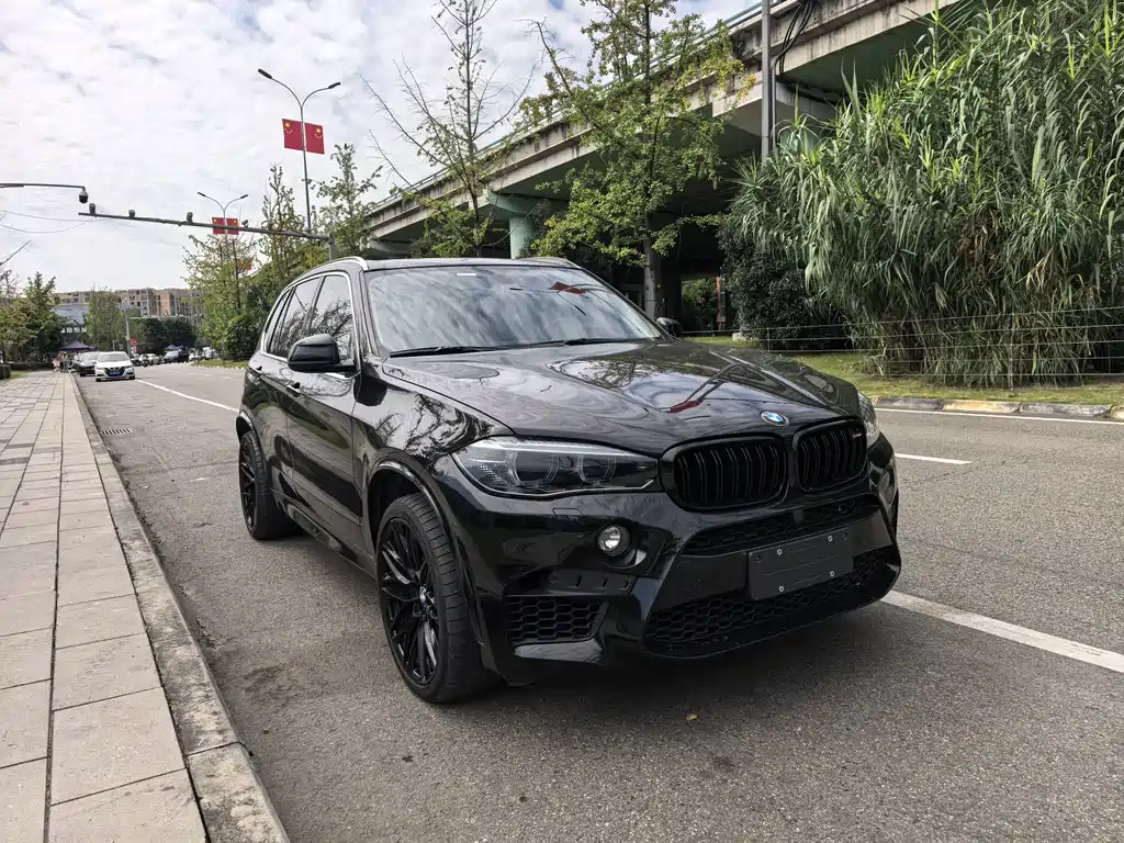 BMW X5 (Import) — миниатюра 3