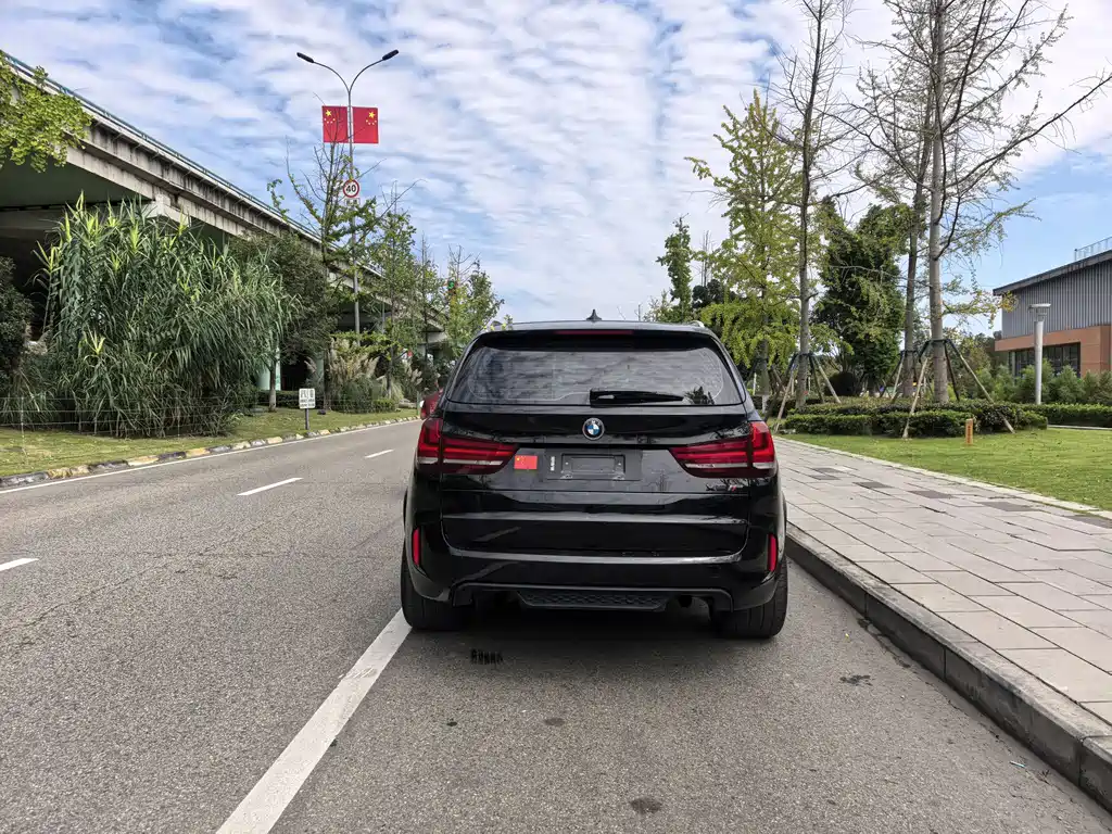 BMW X5 (Import) — миниатюра 5
