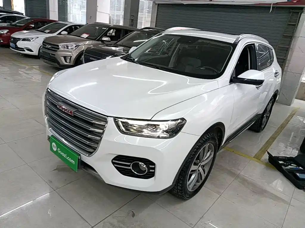 Haval H6 — миниатюра 2
