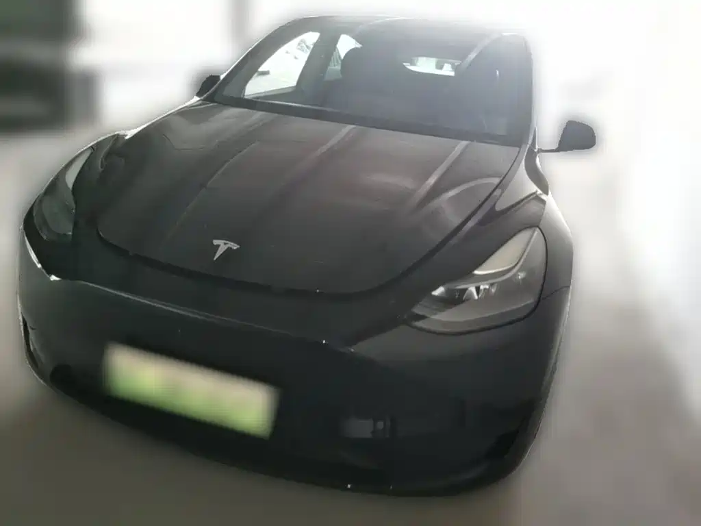 Tesla Model Y — миниатюра 3