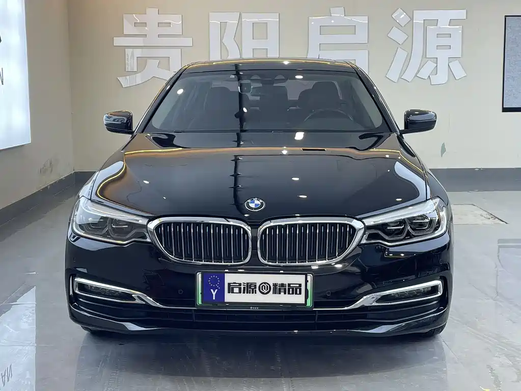 BMW 5 Series 5 2019 530Le Luxury