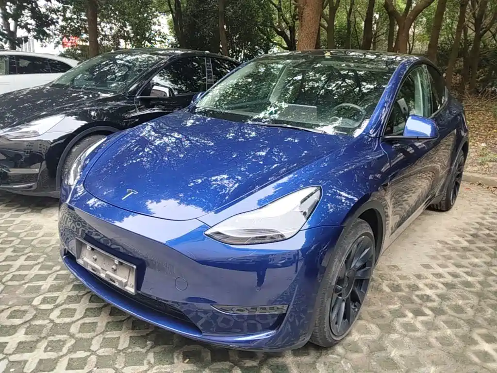 Tesla Model Y — миниатюра 2