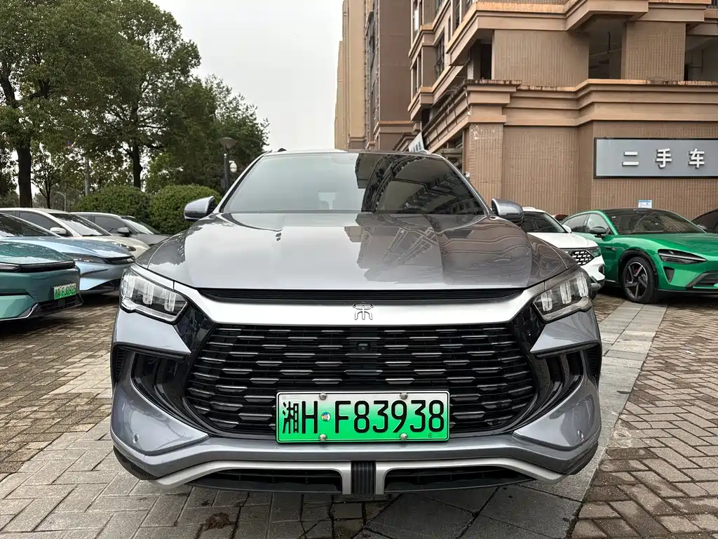 BYD SONGJIANG NEW ENERGY