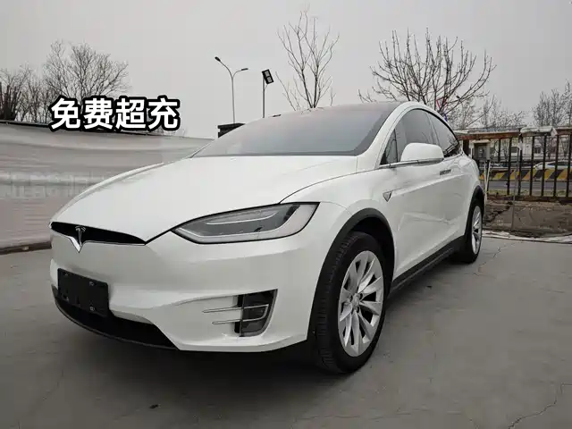 TESLA MODEL X 2017