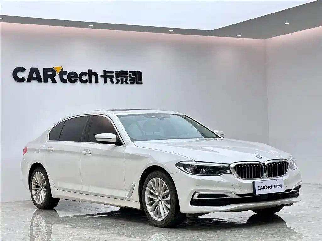BMW 5 Series 5 2020 530Li Premium Luxury
