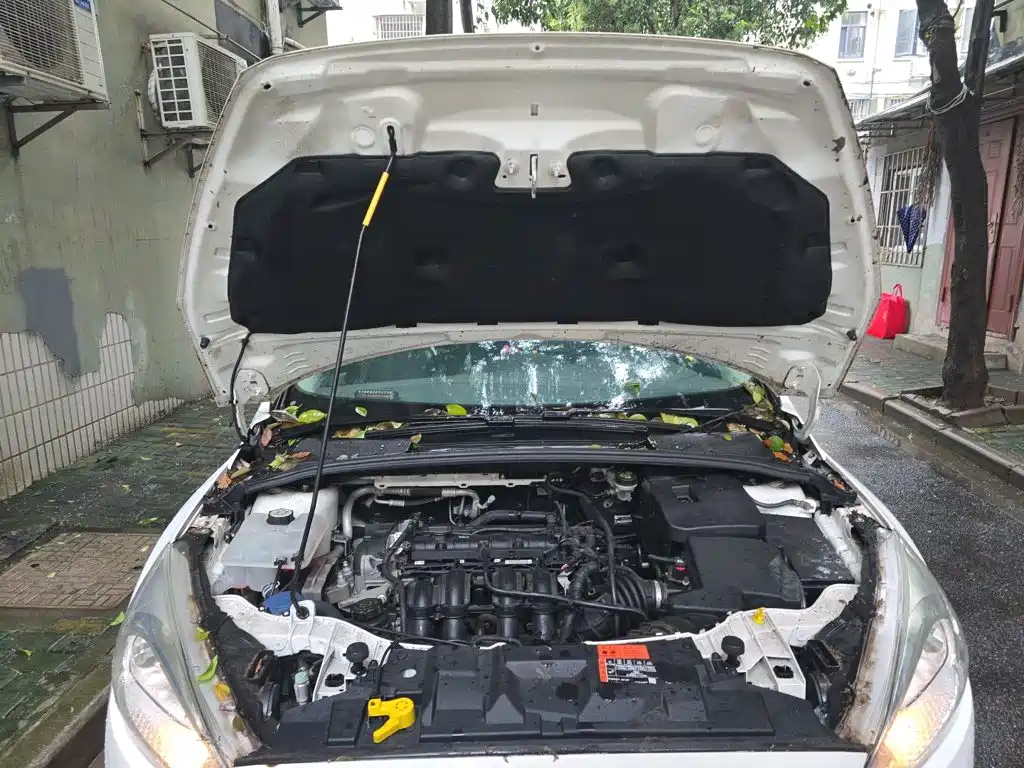 Ford Focus — миниатюра 21