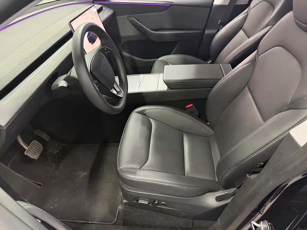 Tesla Model Y — миниатюра 2