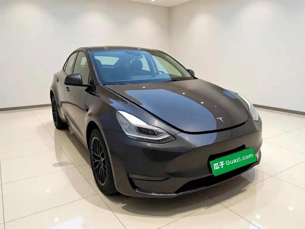 Tesla Model Y — миниатюра 3