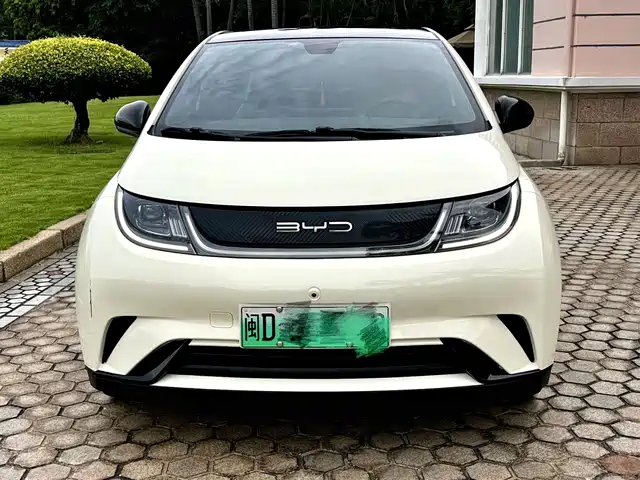 2023 BYD Dolphin