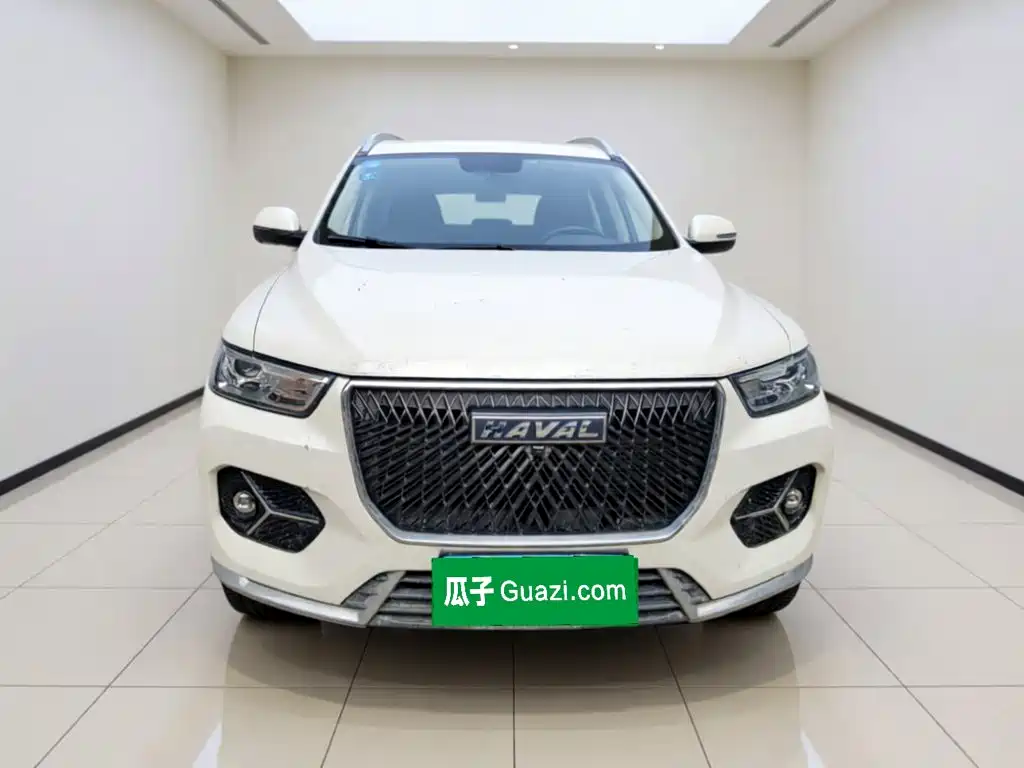 Haval H6 — миниатюра 2