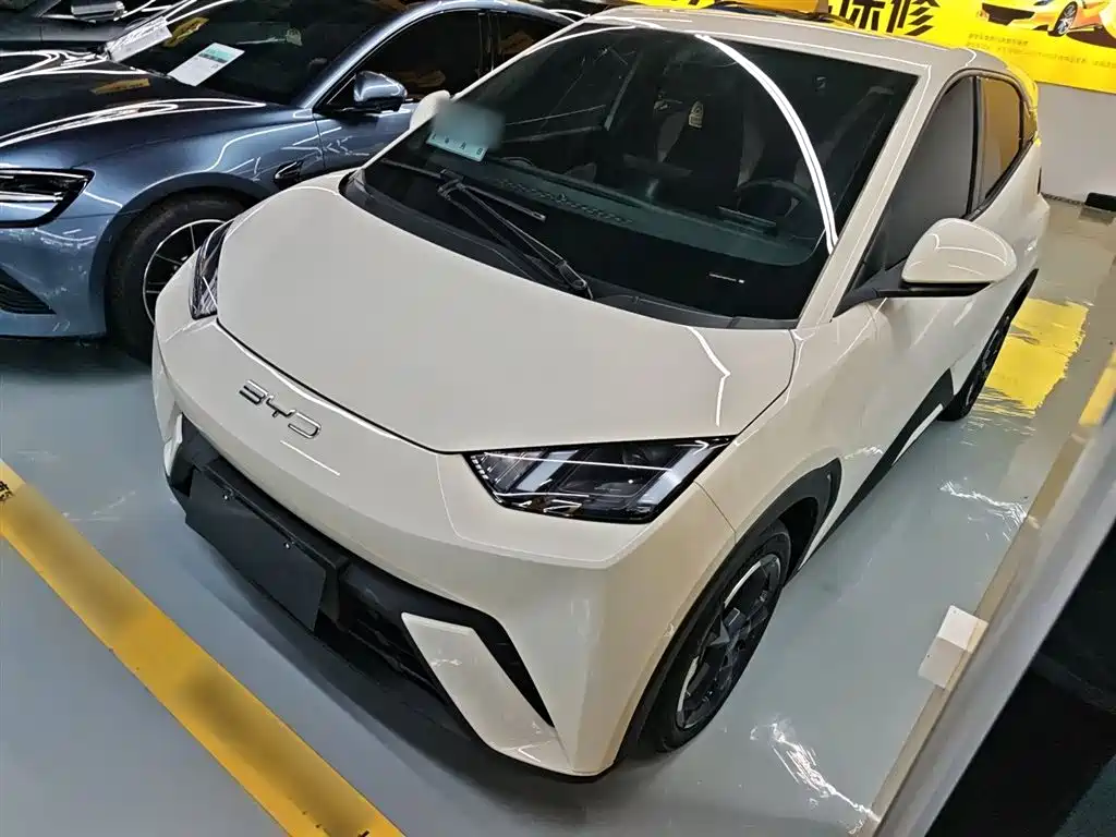 Byd Seagull 2024