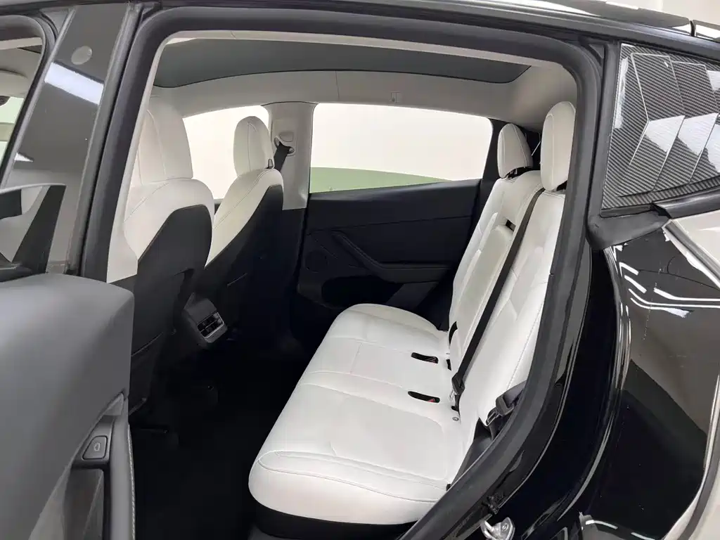 Tesla Model Y — миниатюра 9