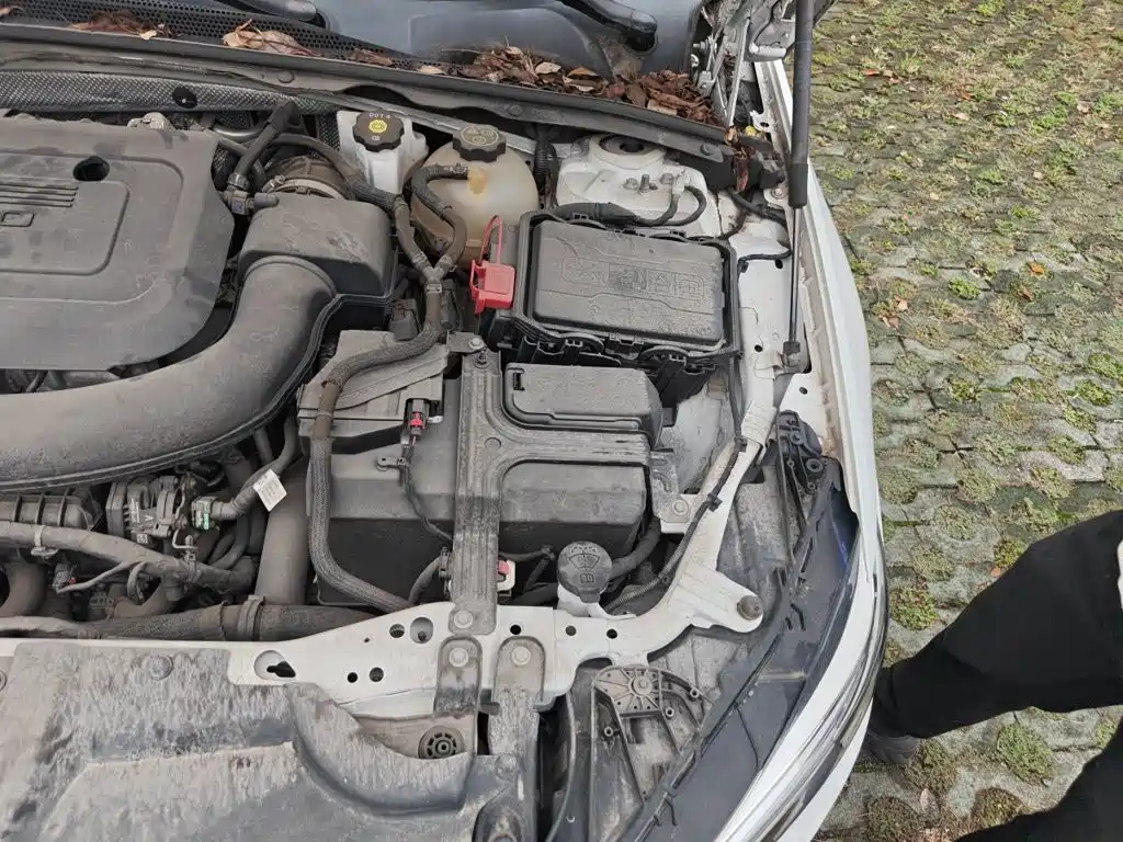 Buick Regal — миниатюра 20