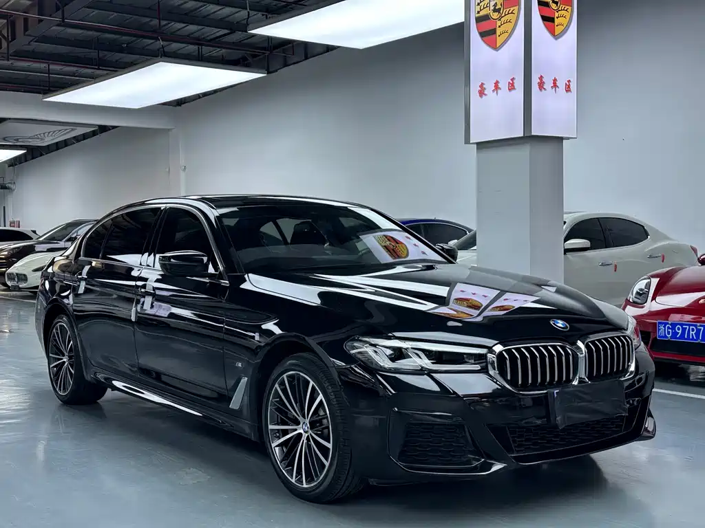 BMW 5 Series — миниатюра 3