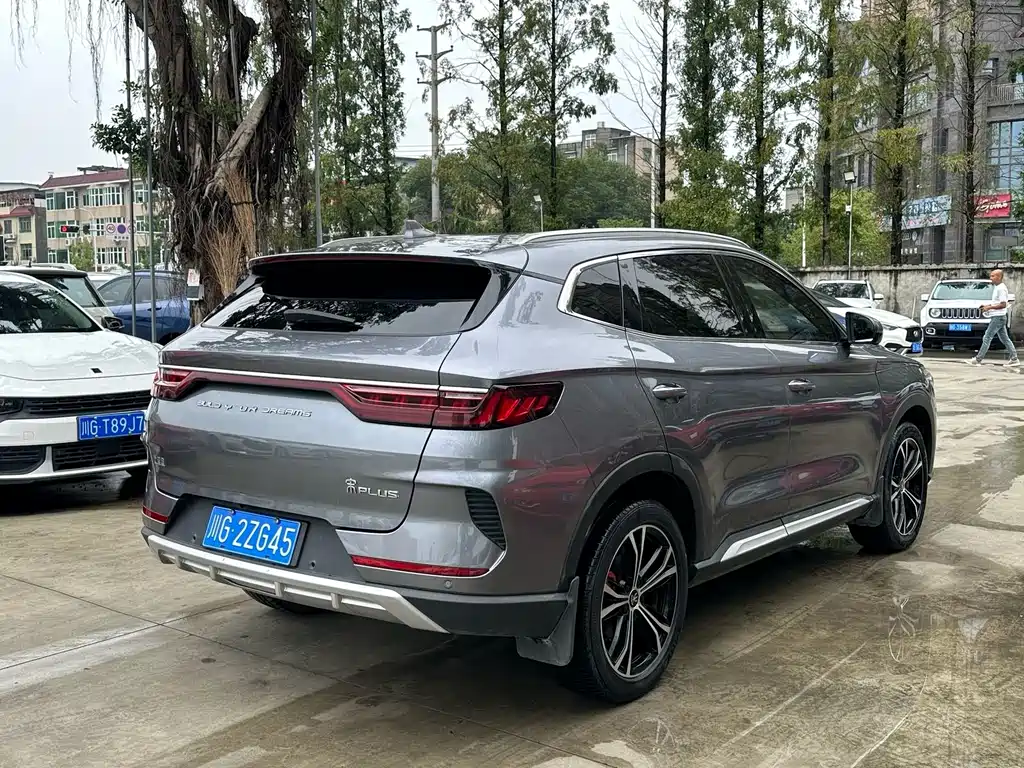 BYD PLUS — миниатюра 12