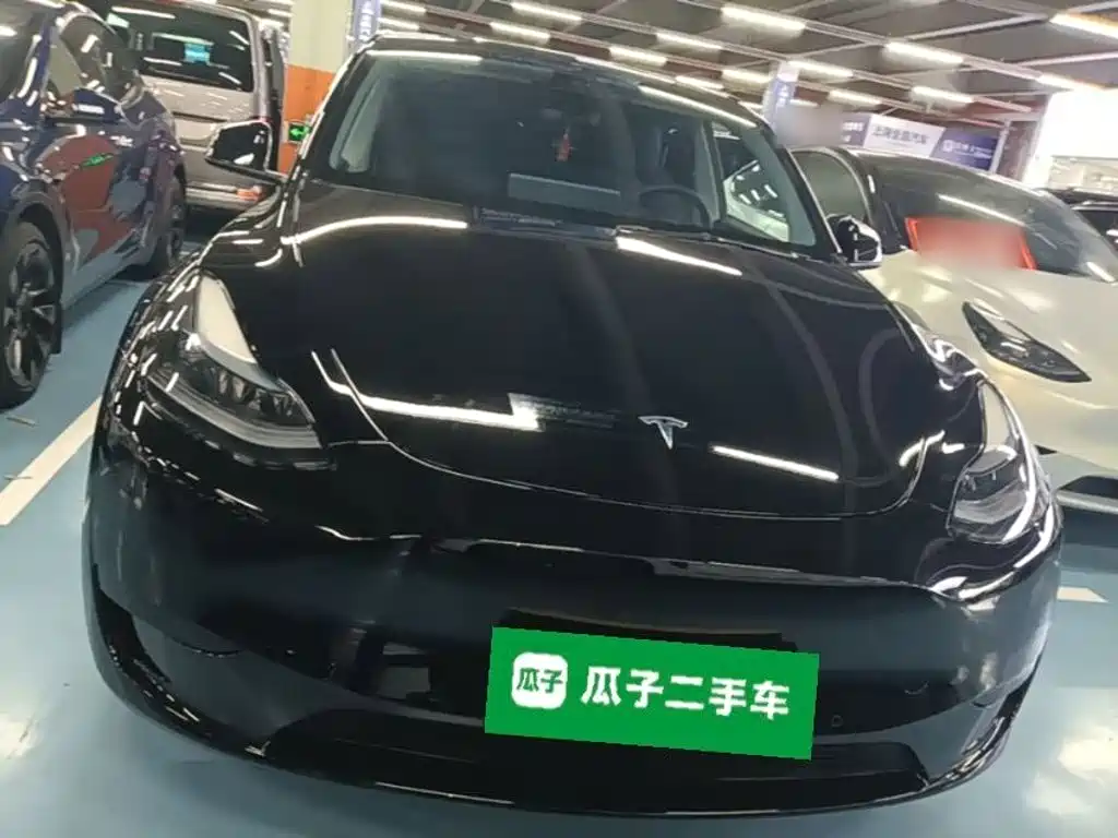Tesla Model Y — миниатюра 3