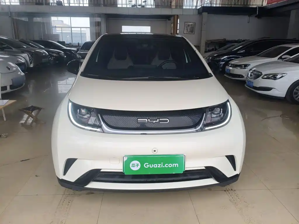 BYD Dolphin 2024 302km
