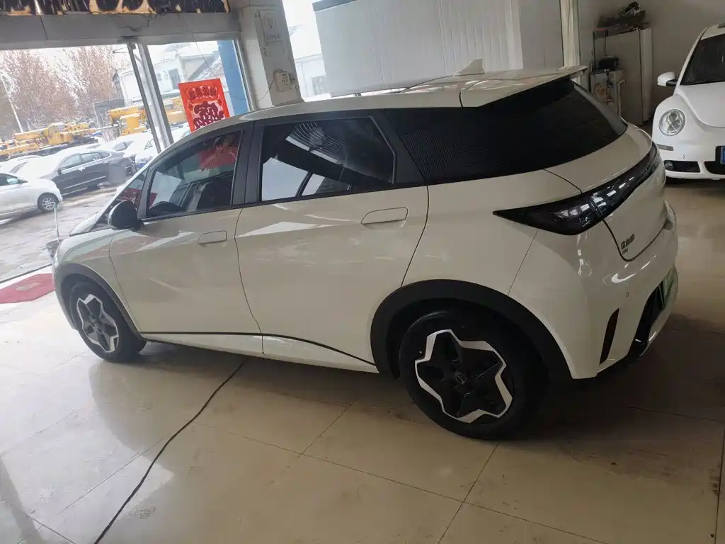 BYD Dolphin 2024 302km