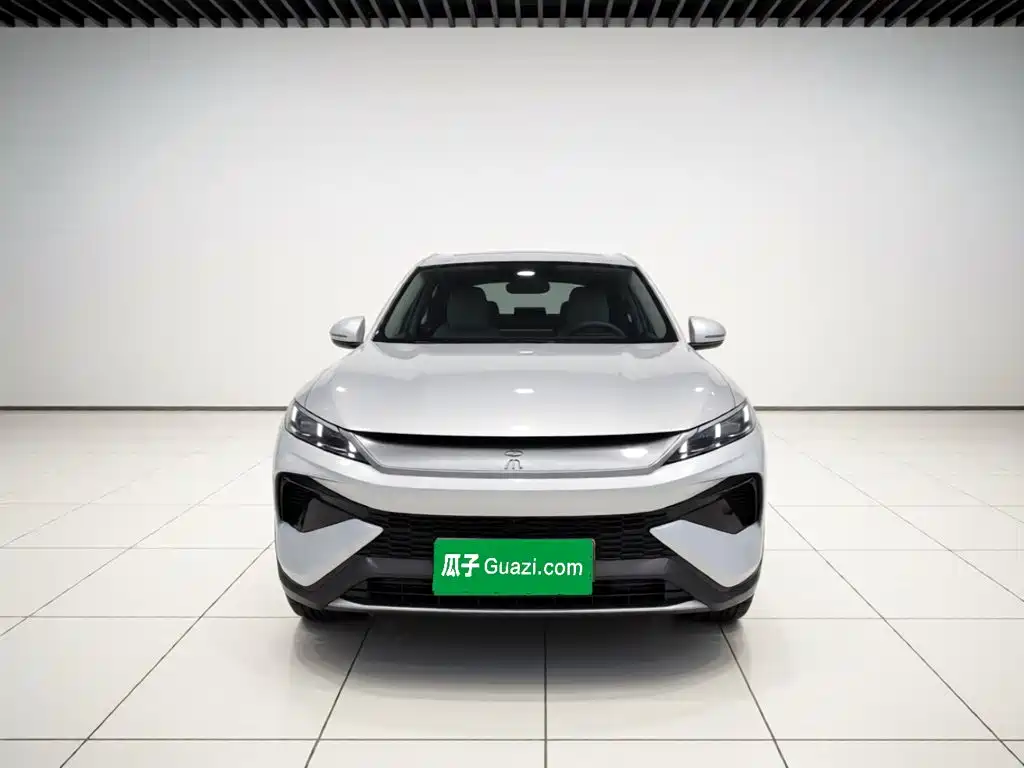 BYD Pro New Energy — миниатюра 2