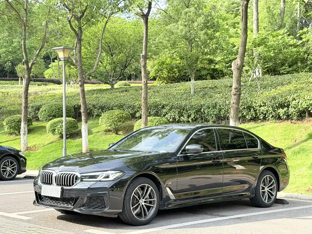 BMW 5 Series — миниатюра 2