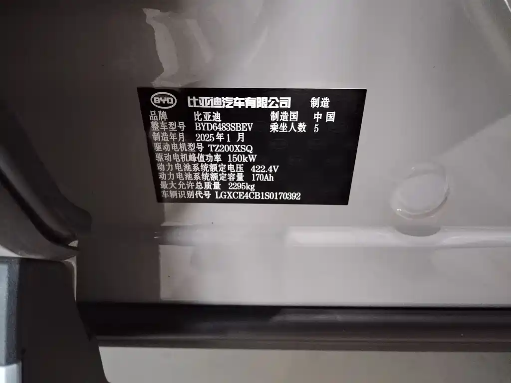 BYD SONGJIANG NEW ENERGY