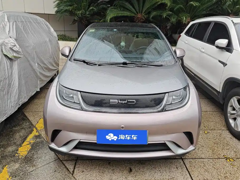 BYD Dolphin — миниатюра 2