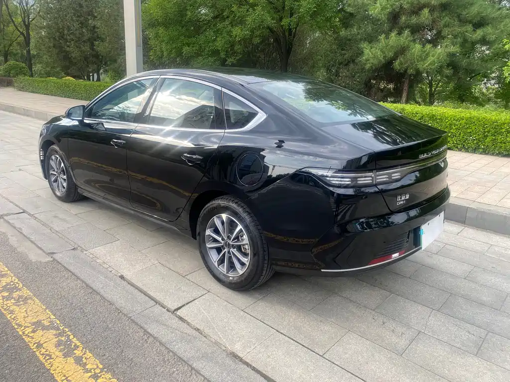 BYD Destroyer 05 2024 DM-i 55KM Luxury