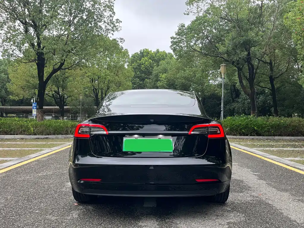 Tesla Model 3 — миниатюра 5
