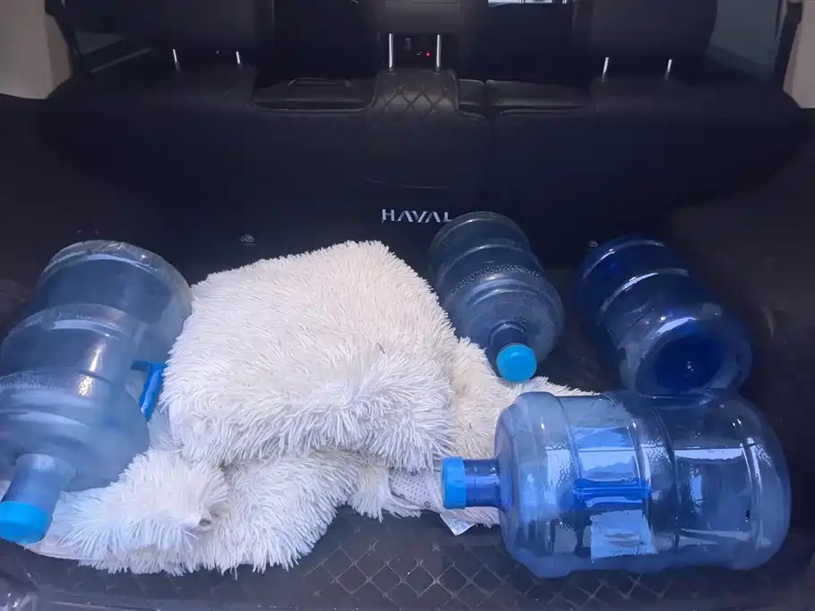 HAVAL RAPTORS NEW ENERGY