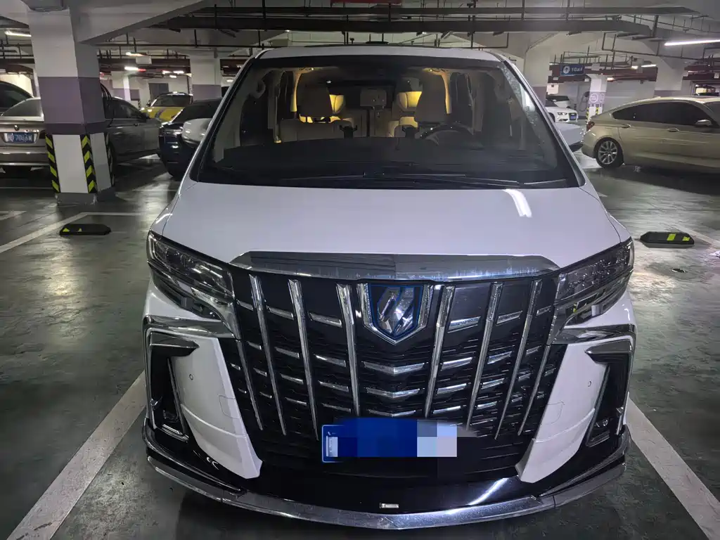 Toyota Alphard 2019 2.5L Luxury