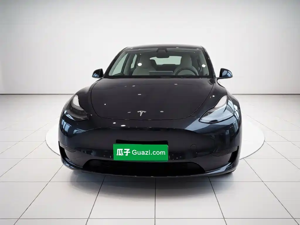 Tesla Model Y — миниатюра 2