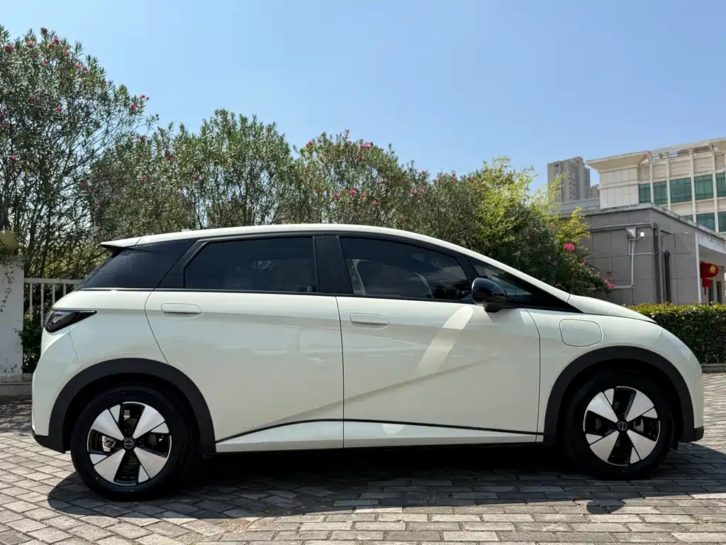BYD Dolphin — миниатюра 16