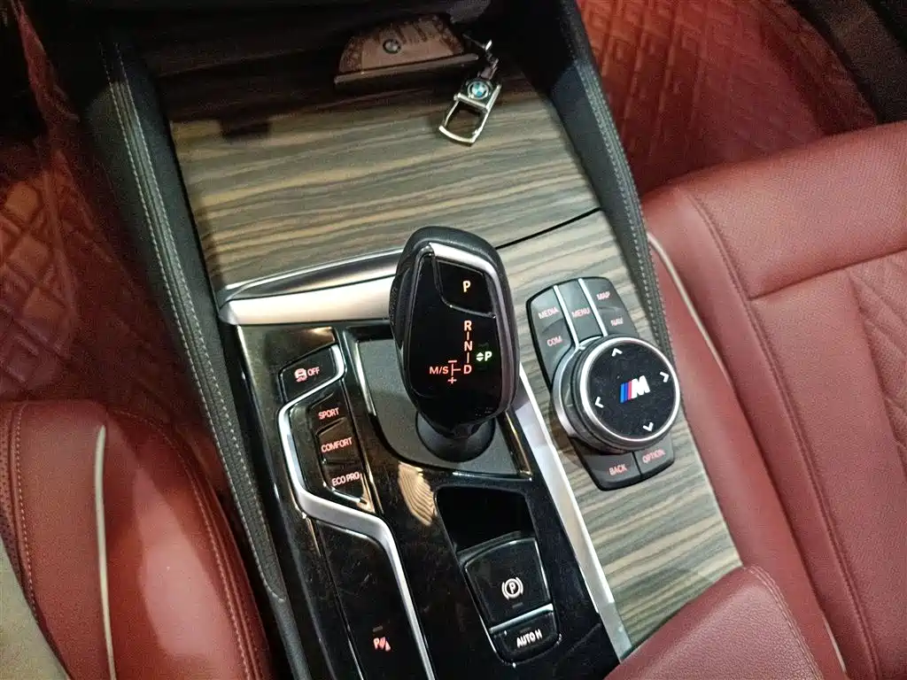 BMW 5 Series 5 2021 530Li Lead Luxury