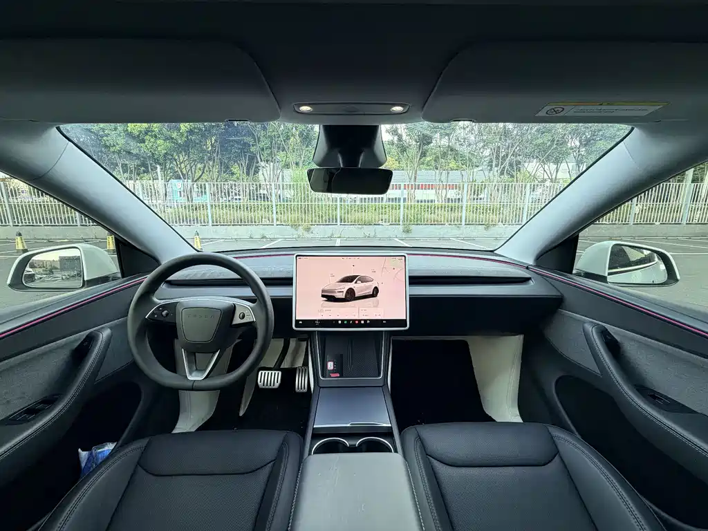 Tesla Model Y — миниатюра 13