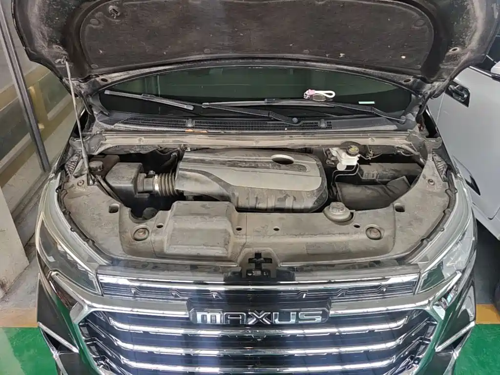 MAXUS G20 — миниатюра 20
