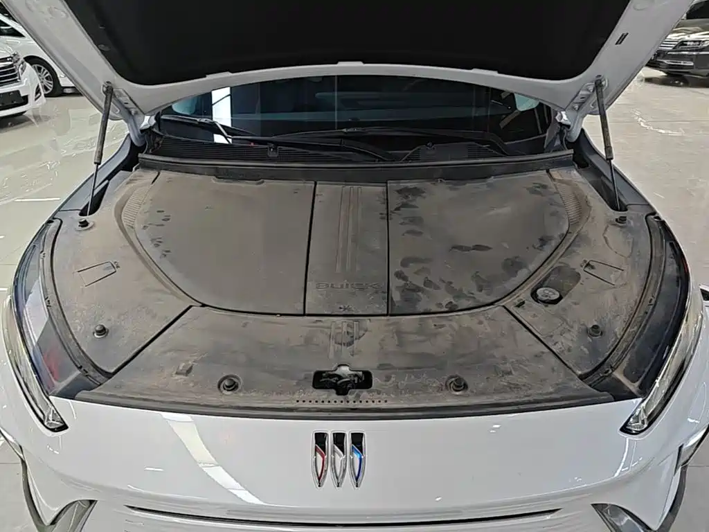 Buick E5 — миниатюра 20