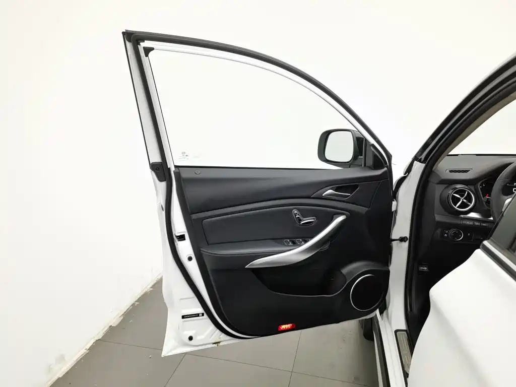 BYD New Energy — миниатюра 8