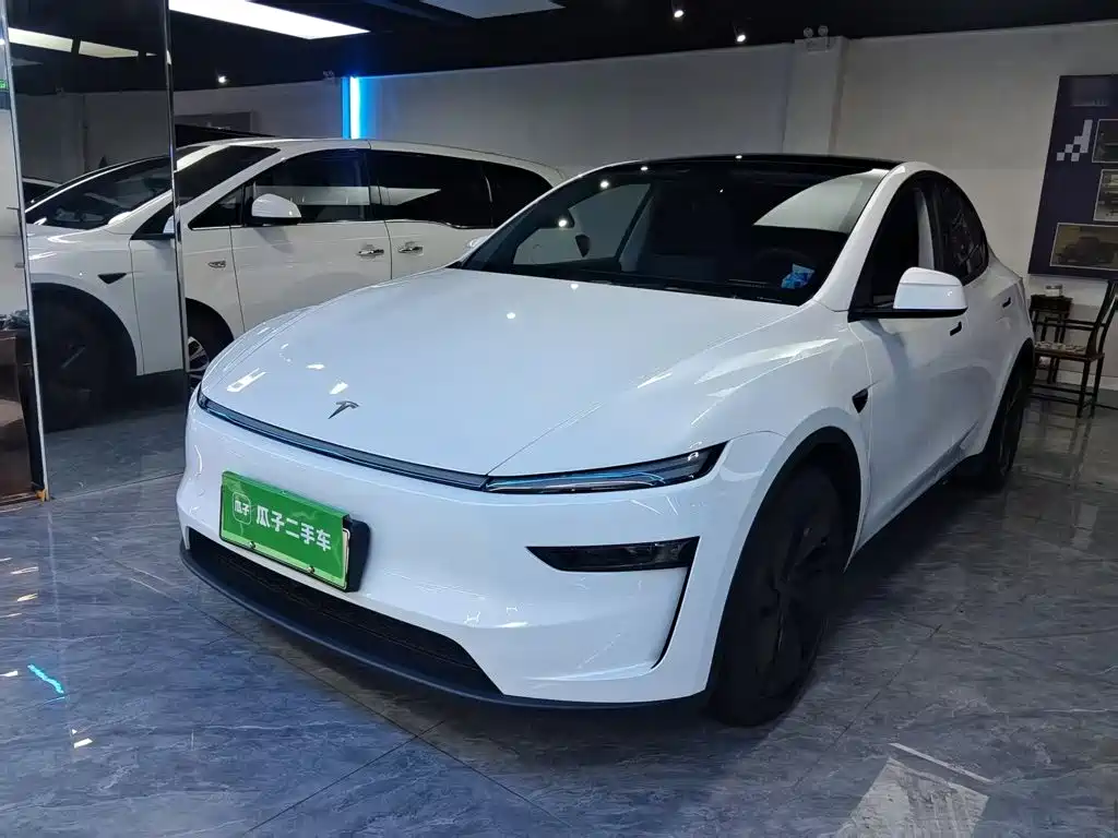 Tesla Model Y — миниатюра 2