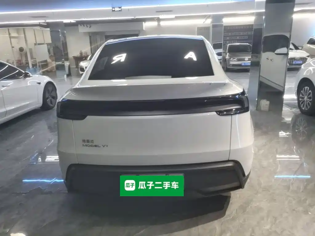 Tesla Model Y — миниатюра 6
