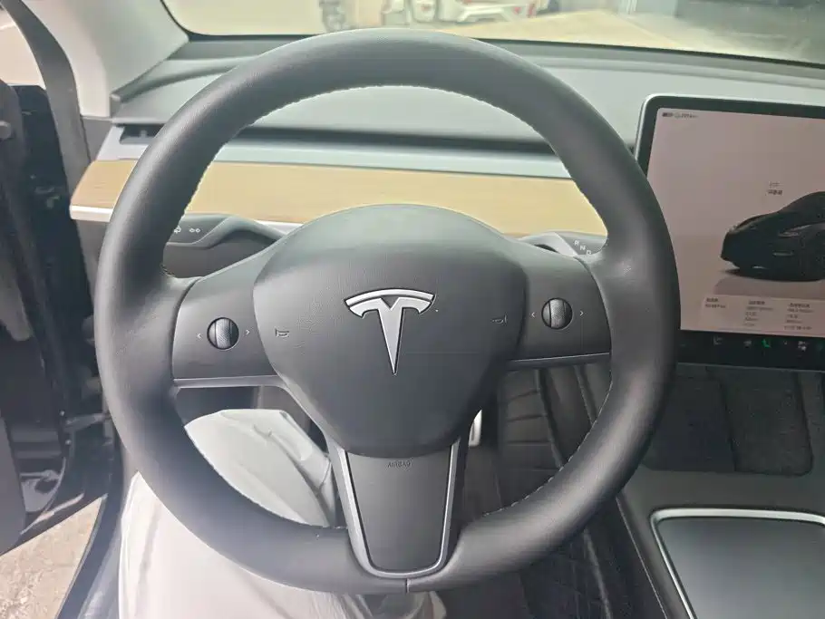 Tesla Model Y — миниатюра 15